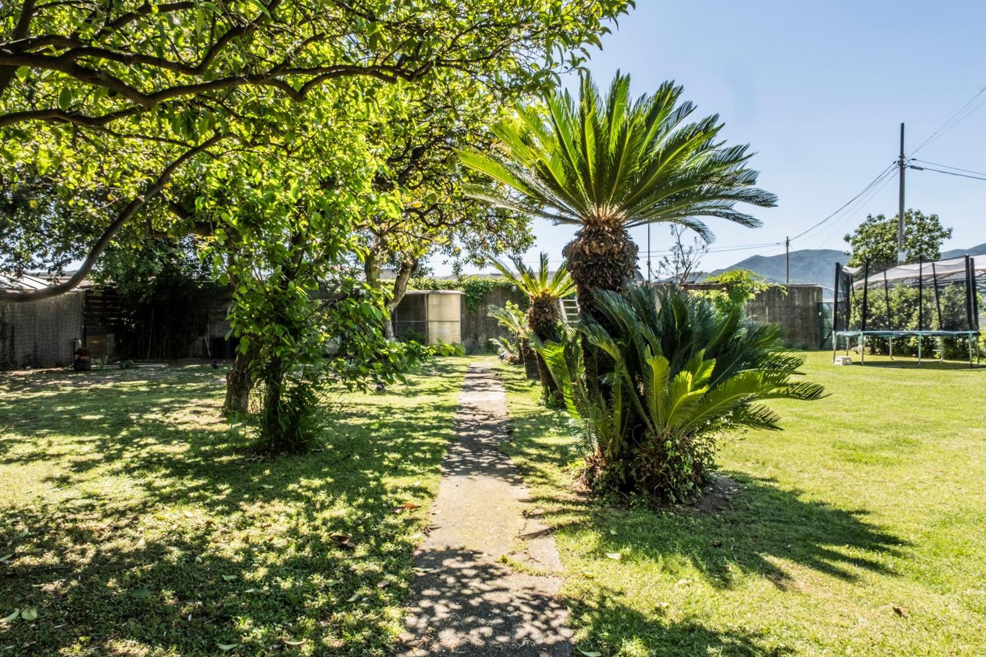 Agriturismo Giorgi Appartamenti In Riviera Ligure ألبينغا المظهر الخارجي الصورة