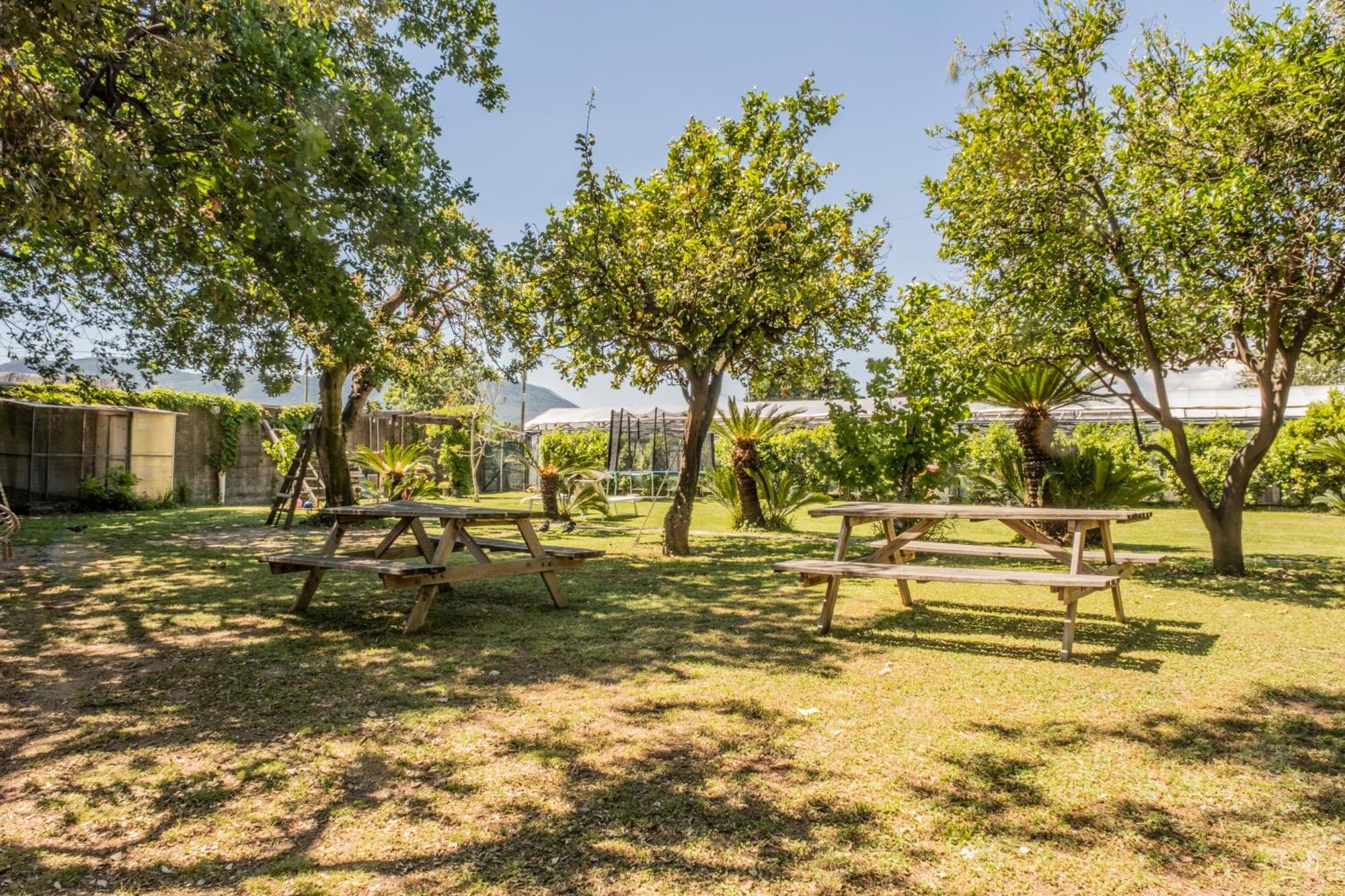 Agriturismo Giorgi Appartamenti In Riviera Ligure ألبينغا المظهر الخارجي الصورة